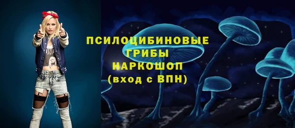 индика Абдулино