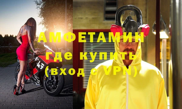 индика Алзамай