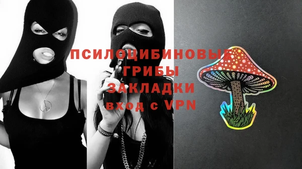 соль ск Алексеевка