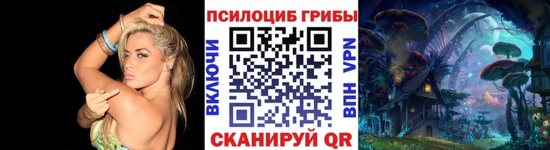 Псилоцибиновые грибы мицелий  нарко площадка формула  Сысерть 